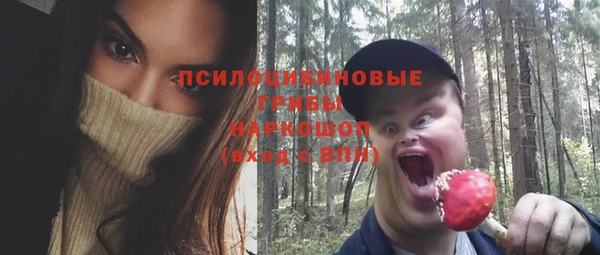 первитин Алексеевка