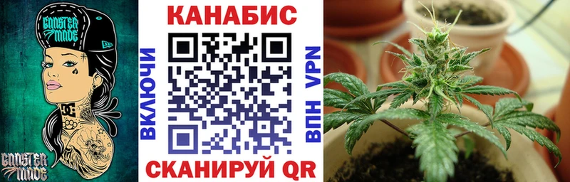 МАРИХУАНА планчик  Жирновск 